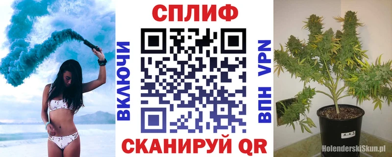 Где купить Кириши Амфетамин МАРИХУАНА Галлюциногенные грибы Гашиш Меф