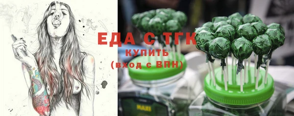 прущий лед Алзамай