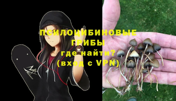 прущий лед Алзамай