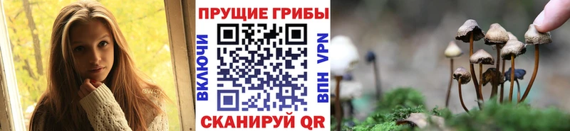 Псилоцибиновые грибы ЛСД  OMG ссылки  Кириши 